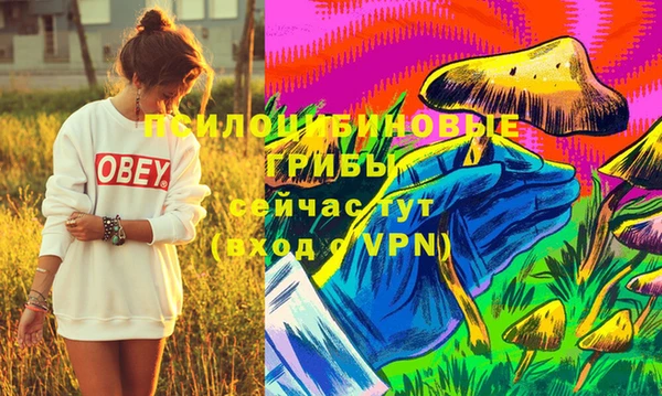 кристаллы Ельня