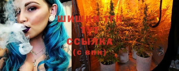 кристаллы Ельня
