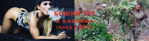 spice Елабуга